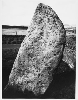 Aberlemno Stones, Angus