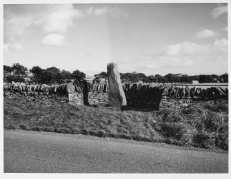 Aberlemno Stones, Angus