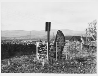 Aberlemno Stones, Angus