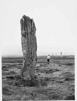 Machrie Moor Stone Circle