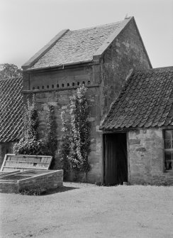 View of Tyninghame dovecot from south east.