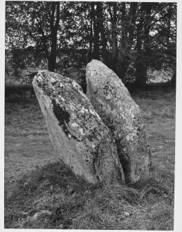 Clava Cairns