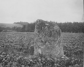 Clava Cairns