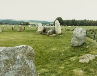 Easter Aquhorthies Stone Circle (Gordon District)