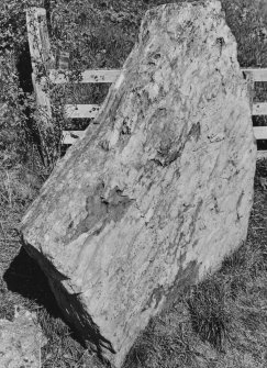 Knocknagel Boar Stone, General Views