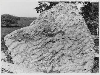 Knocknagel Boar Stone, General Views
