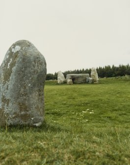 East Aquhorthies Stone Circle, General Views