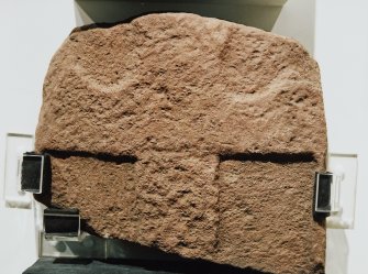 Meffan Institute, Forfar, Various stones in display