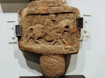 Meffan Institute, Forfar, Various stones in display
