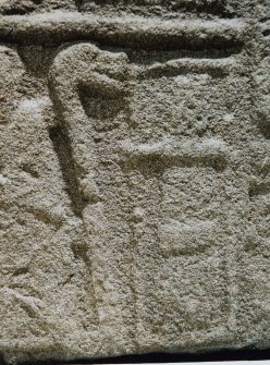 Meffan Institute, Forfar, Various stones in display