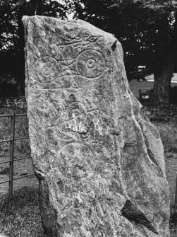 Picardy Stone. Insch, Aberdeenshire, General Views