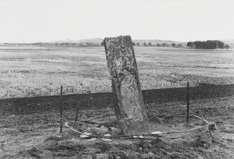 St Orland's Stone, Cossans, Glamis, General View