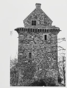 Fatlips Castle, Roxburghshire.  General Views (1981 E.Tabraham)