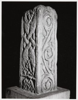 Anglo Saxon Cross Shaft, Aberlady Church.  At Stenhouse Conservation Centre