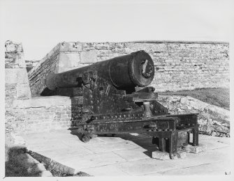 Fort George Cannon