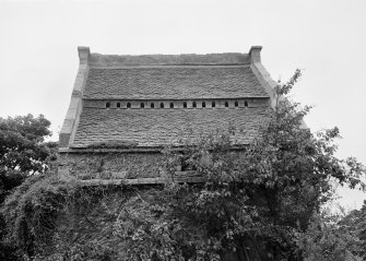 Detail of roof and flight holes, Pilmuir House dovecot.