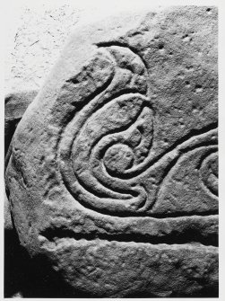 Dunnichen Stone, General Views and Details (at Arbroath Abbey)