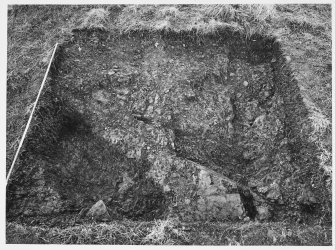 Barton Hill, Kinnaird Pertshire, Excavations