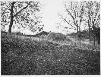 Barton Hill, Kinnaird Pertshire, Excavations