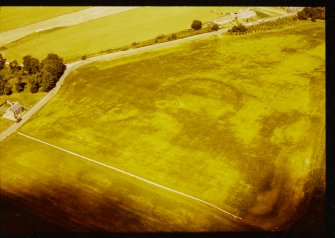 Crop marks Balfarg