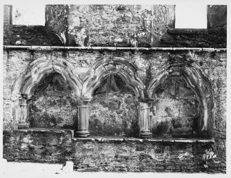 Inchmahome Priory, Interior Details and Exterior Views
