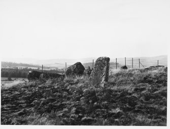 Tomnaverie Stone Circle Coull, Aberdeenshire General Views