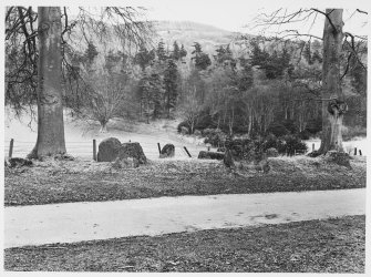 Stone Circle, Moncrieff House, Perthshire.  Details