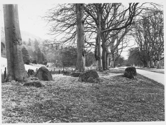Stone Circle, Moncrieff House, Perthshire.  Details