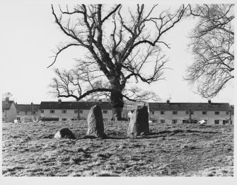 Standing Stones of St MacLeod, Pitfour Castle, Glencarse, Perthshire.  General Views