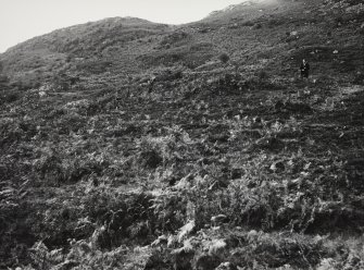 Cille Fhearchair Stone, Shiel Bridge, Ross and Cromarty.  General Views