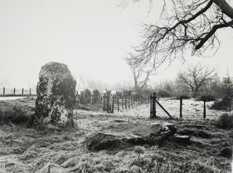 Views of Damaged Standing Stone Clachan Mor, Dowally, Perthshire
