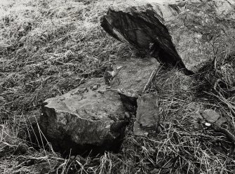 Views of Damaged Standing Stone Clachan Mor, Dowally, Perthshire