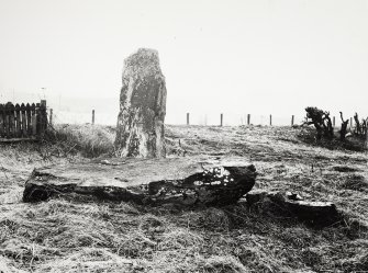 Views of Damaged Standing Stone Clachan Mor, Dowally, Perthshire