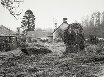 Views of Damaged Standing Stone Clachan Mor, Dowally, Perthshire