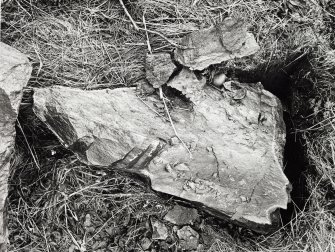 Views of Damaged Standing Stone Clachan Mor, Dowally, Perthshire