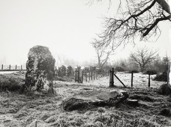Views of Damaged Standing Stone Clachan Mor, Dowally, Perthshire