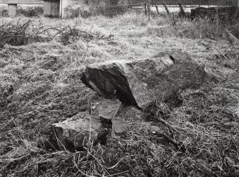 Views of Damaged Standing Stone Clachan Mor, Dowally, Perthshire