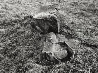 Views of Damaged Standing Stone Clachan Mor, Dowally, Perthshire