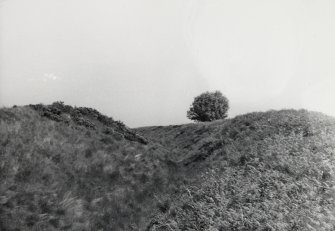 Bunkle Edge Fort Views (Mr Cruden)