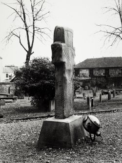 Netherton Cross Hamilton General Views