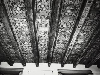 Old Gala House painted ceiling