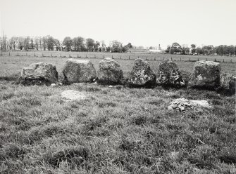 Raigmore Stone Circle Inveness General Views