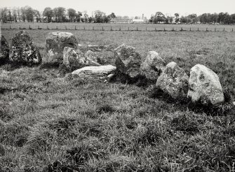 Raigmore Stone Circle Inveness General Views