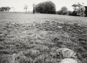 Raigmore Stone Circle Inveness General Views