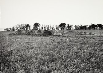 Raigmore Stone Circle Inveness General Views