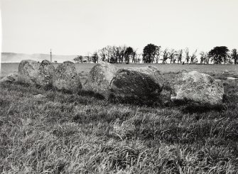 Raigmore Stone Circle Inveness General Views