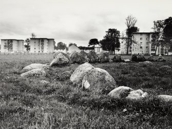 Raigmore Stone Circle Inveness General Views