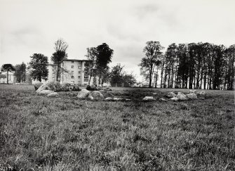 Raigmore Stone Circle Inveness General Views