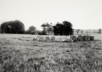 Raigmore Stone Circle Inveness General Views