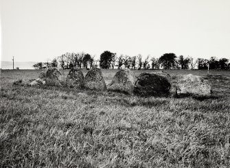 Raigmore Stone Circle Inveness General Views